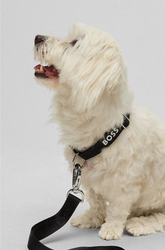 DOG COLLAR WITH JACQUARD LOGO DETAILING