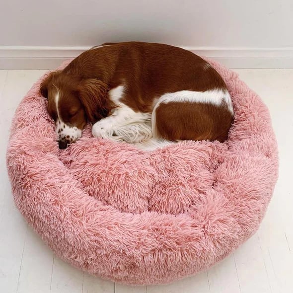 🔥Comfy Calming Dog/Cat Bed